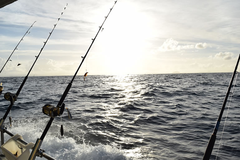 Fishing in Punta Mita - Exceptional Stays