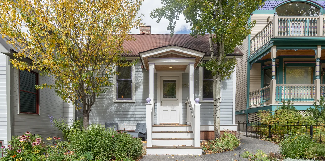  telluride hummingbird gallery image