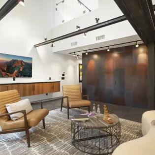 1.02 telluride ore light loft living room