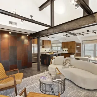1.03 telluride ore light loft living room