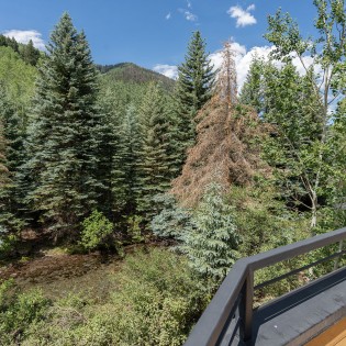 telluride the tributary deck river
