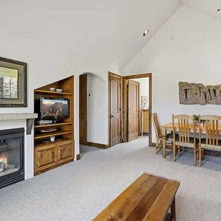 10.01 wild lupine telluride apartment living room3