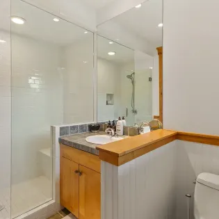 10.02 telluride golden knoll guest suite one bathroom 