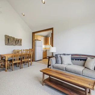 10.02 wild lupine telluride apartment living room2