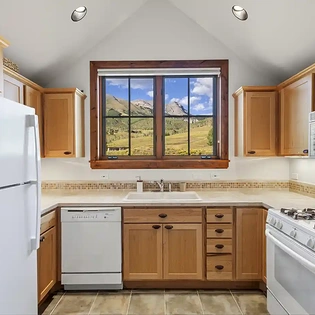 10.07 wild lupine telluride apartment kitchen1