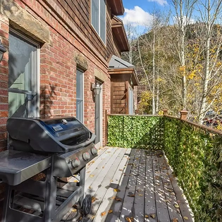 10.1 gold belt telluride patio