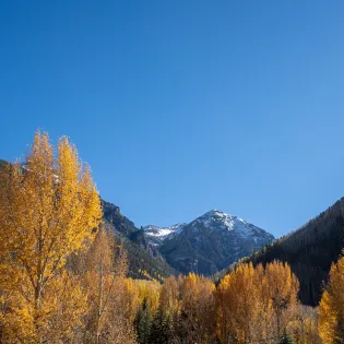 10.4 bear creek west telluride ballard view