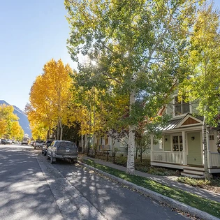 12.3 telluride pacific house ajax view