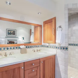 13.01 telluride celestial peaks guest four five bath