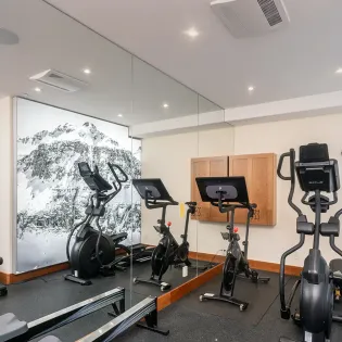 16.0 celestial peaks telluride gym