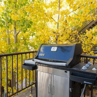 2.3 bear creek west telluride deck bbq