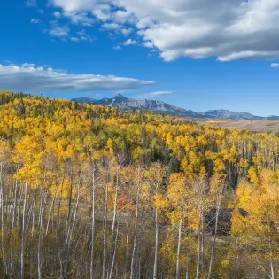 20.0 telluride the summit mountain view 