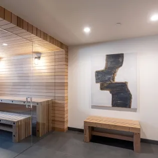 22 telluride san juan 103 transfer transfer sauna angle