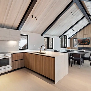 4.0 telluride maison cornet kitchen1