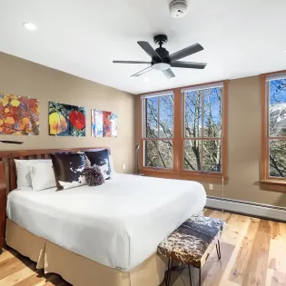 4.0 telluride panoramic peaks primary