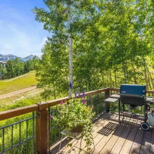 4.01 pine meadows 138 telluride deck view