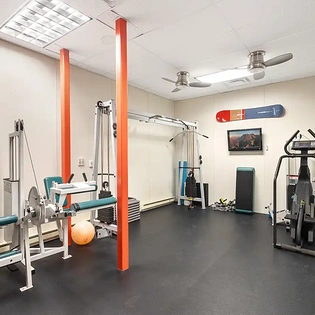 5.0 tristant 115 mountain village gym1