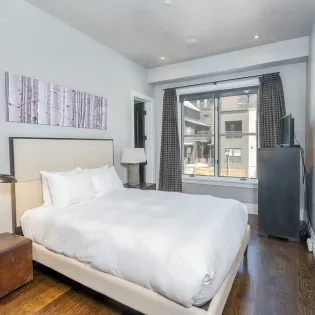 5.00 guest suite modern willow telluride  4 