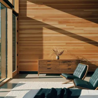 5.02 telluride the lookout primary