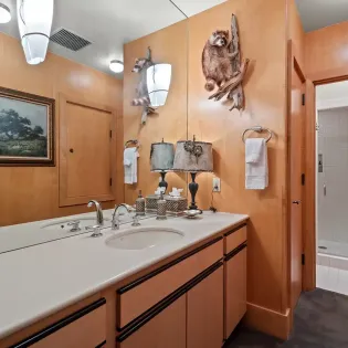 5.05 saison cinq mountain village theater bathroom2 1