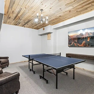 6.02 wild lupine telluride game room ping pong