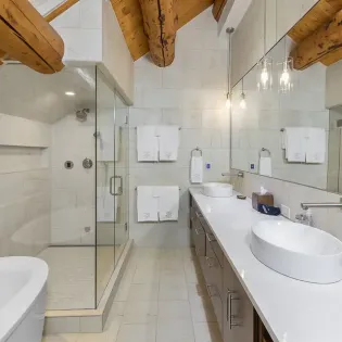 6.06 telluride stone timber guest two bathroom