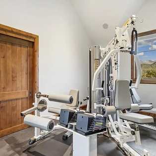 6.06 wild lupine telluride gym1