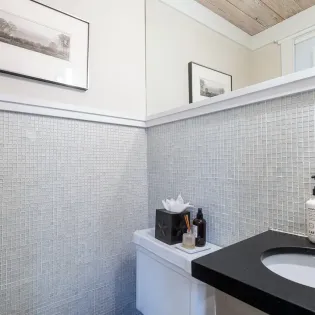 8.0 telluride hummingbird house powder room