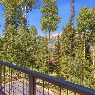 9.03 telluride golden knoll primary deck 