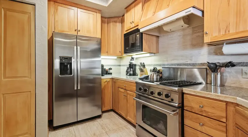 4.1 telluride centrum 302 kicthen4