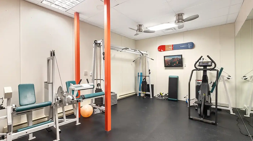 5.0 tristant 115 mountain village gym1