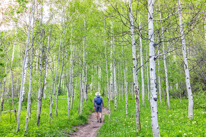 Colorado