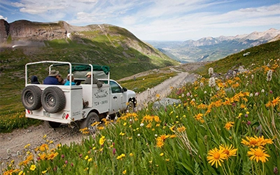 Guided 4WD Tours