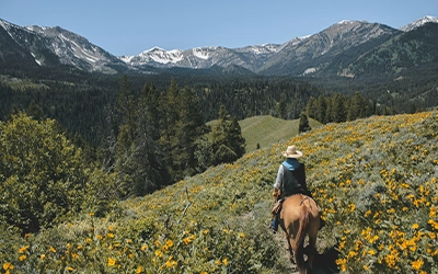 Horseback Riding