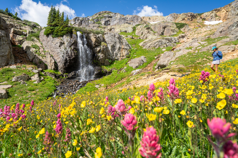 Summer outdoor recreation in Telluride featuring hiking with wildflowers and dramatic mountain landscapes